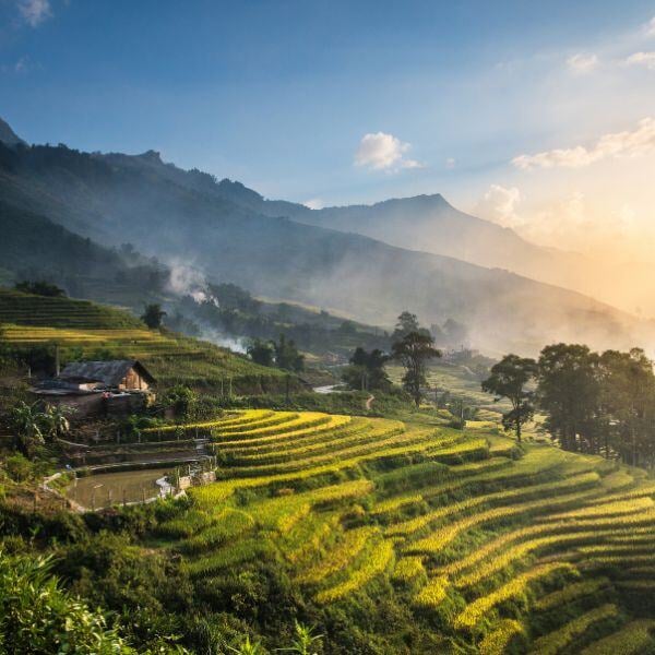 starting-a-business-in-Indonesia-switchback